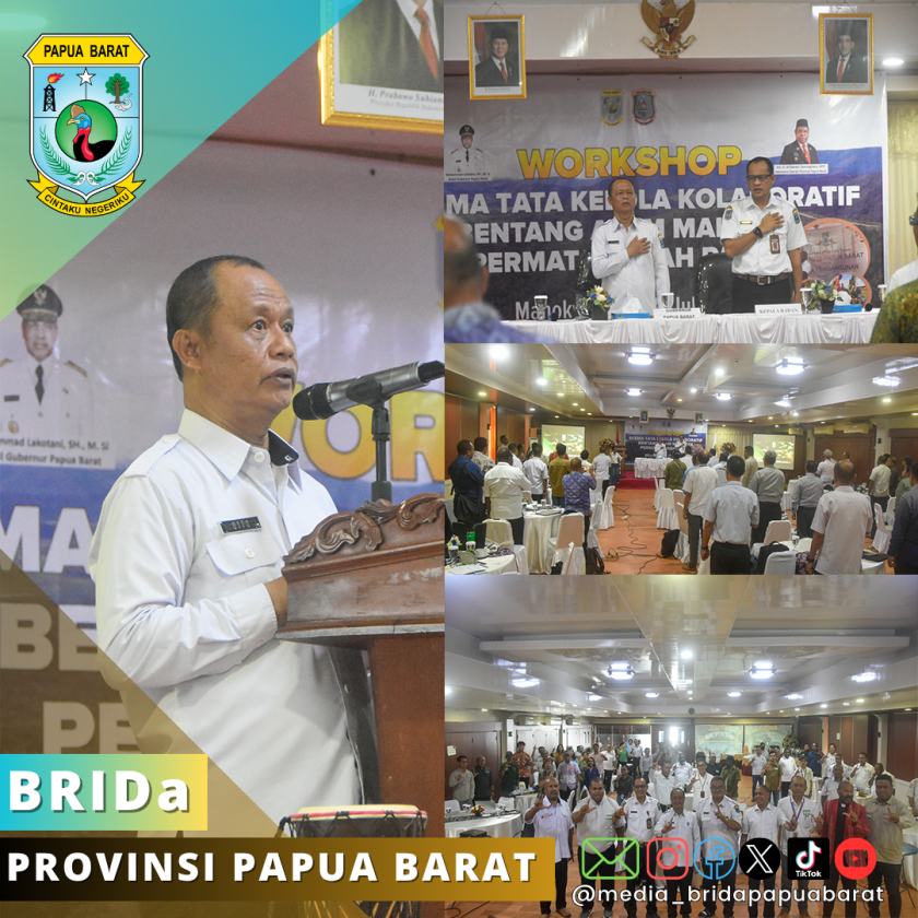 Workshop Skema Tata Kelola Kolaboratif Collaborative Governance Bentang Alam Mahkota Permata Tanah Papua
