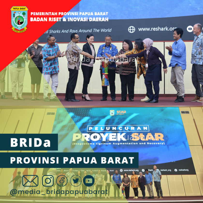 StAR Project Resmi Diluncurkan di Sorong, Hiu Kharismatik Siap Untuk Dikembalikan ke Habitatnya